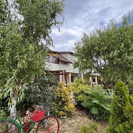 Casa Vera, Tudor Vladimirescu Tulcea Bagian luar foto